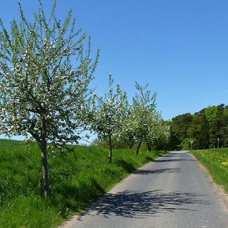 Ferienwohnung Jacobi Kurfuerst Naumburg (Hessen) Dış mekan fotoğraf