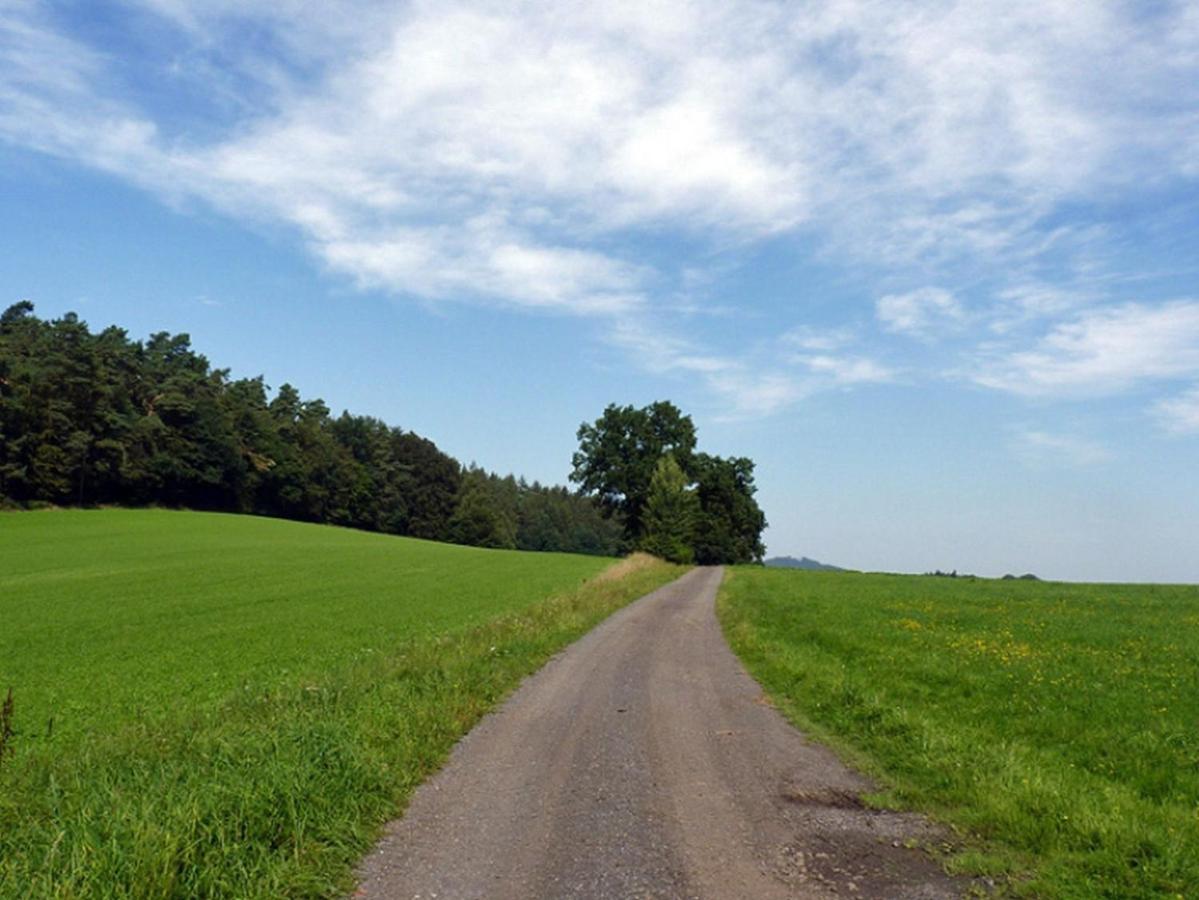 Ferienwohnung Jacobi Kurfuerst Naumburg (Hessen) Dış mekan fotoğraf
