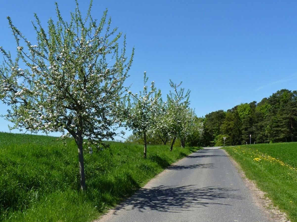 Ferienwohnung Jacobi Kurfuerst Naumburg (Hessen) Dış mekan fotoğraf