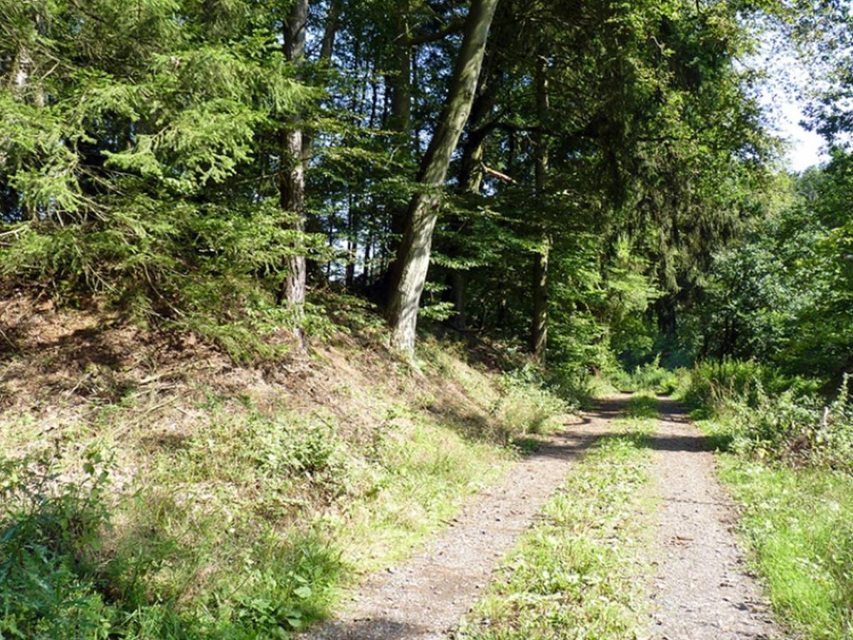 Ferienwohnung Jacobi Kurfuerst Naumburg (Hessen) Dış mekan fotoğraf