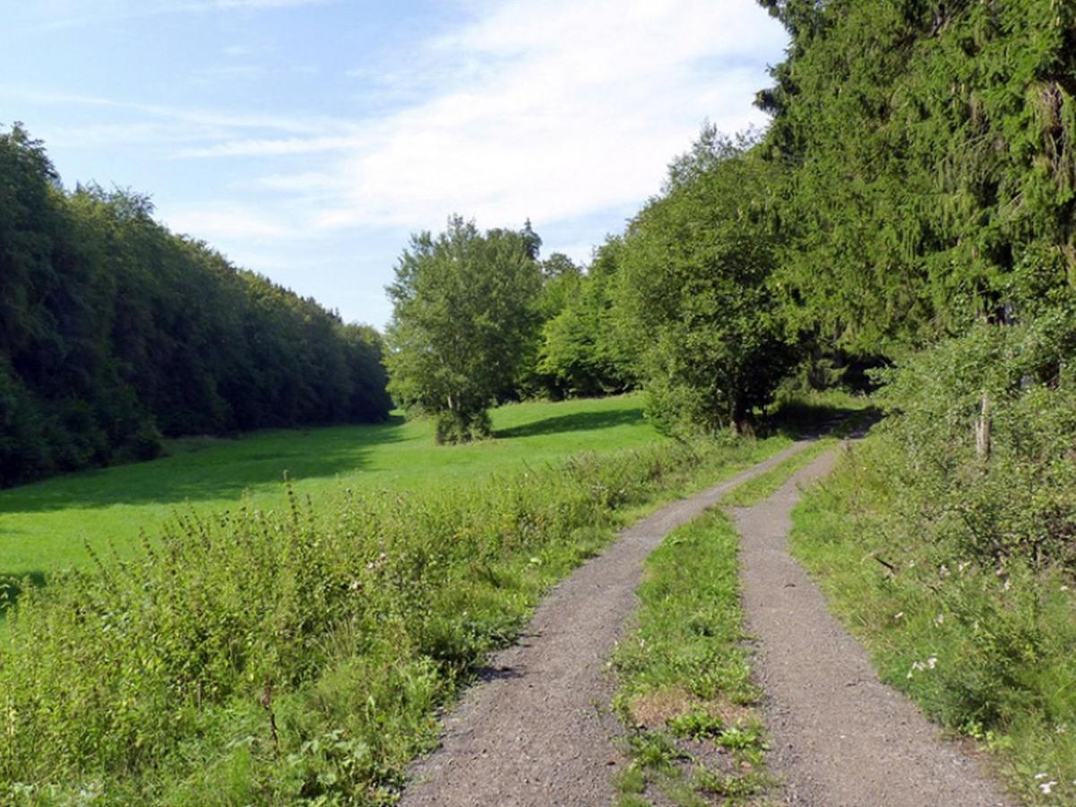 Ferienwohnung Jacobi Kurfuerst Naumburg (Hessen) Dış mekan fotoğraf