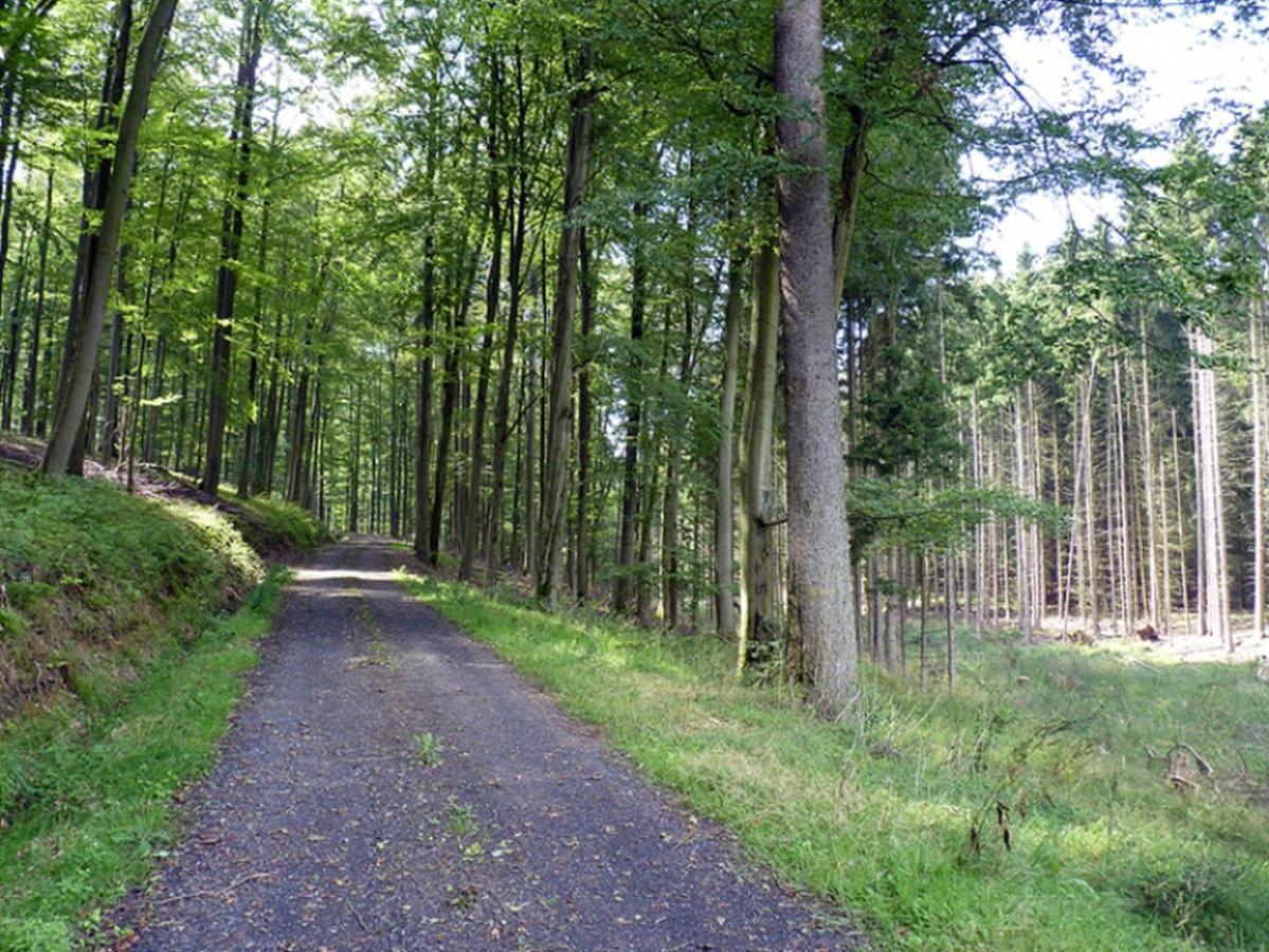 Ferienwohnung Jacobi Kurfuerst Naumburg (Hessen) Dış mekan fotoğraf